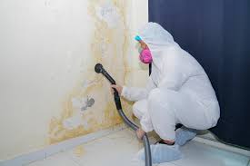 Why You Should Choose Our Mold Remediation Services in Rexland Acres, CA